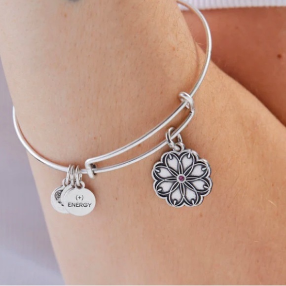 💜ALEX AND ANI💜 Healing Love Flower
Charm Bangle in Rafaelian Silver/EUC - Picture 4 of 8